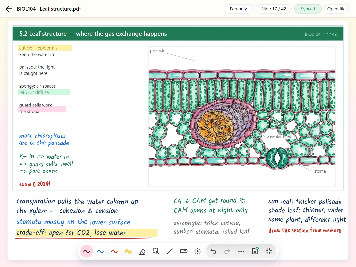 Notes written around a lecture slide